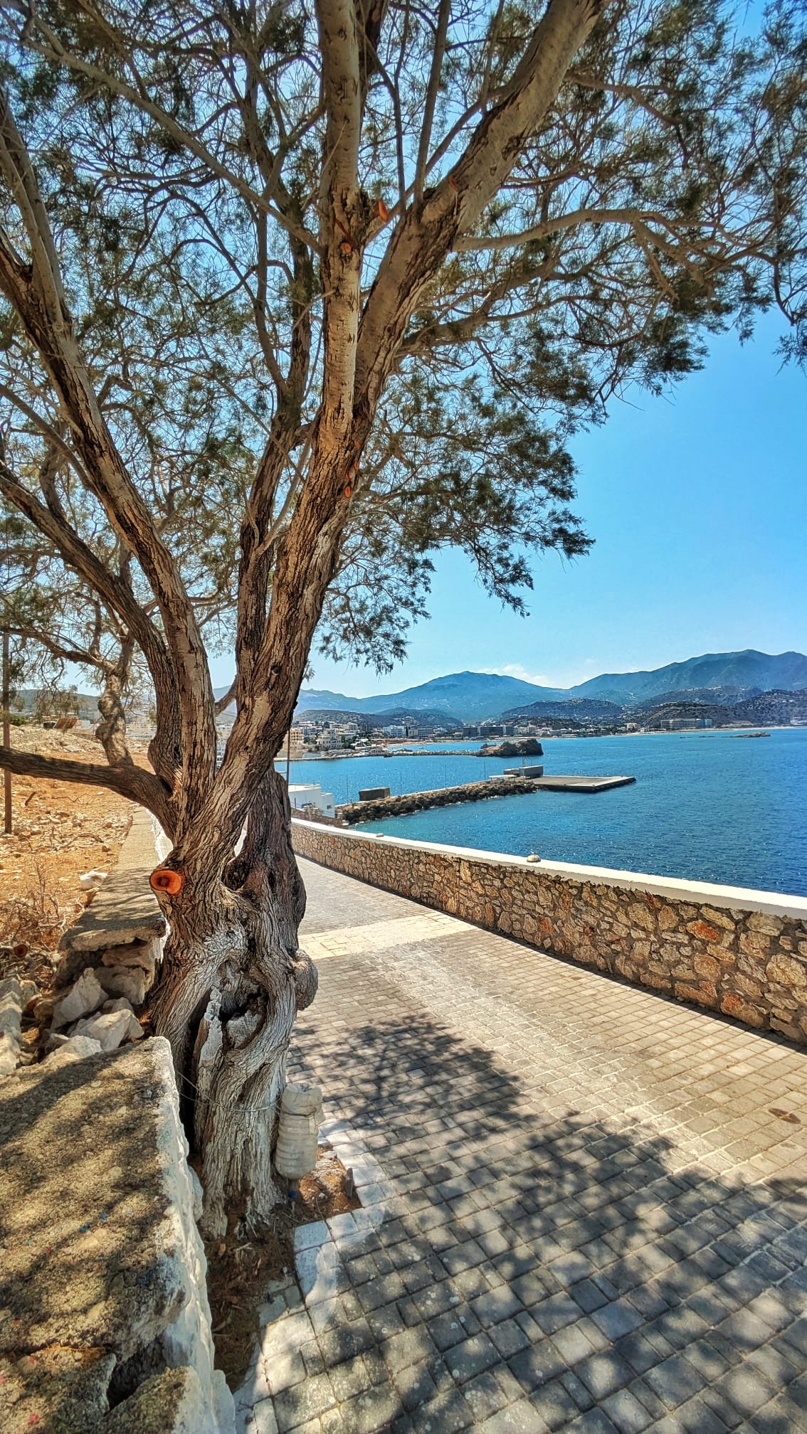 Il Meltemi, il vento di Karpathos